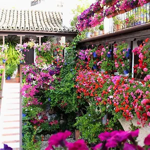  Appartement Puerta A La Mezquita Spanje